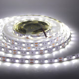 12V & 24V Flexible LED Tape Lights Decor Lighting