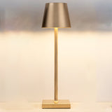 LED Dimmable, Waterproof, Vintage Style Desk Lamp - Battery Operated